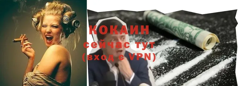 COCAIN Fish Scale  цены   Верхний Уфалей 