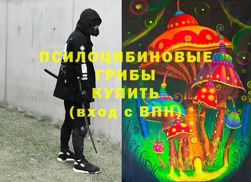 MEGA ссылка  Верхний Уфалей  Псилоцибиновые грибы Cubensis 